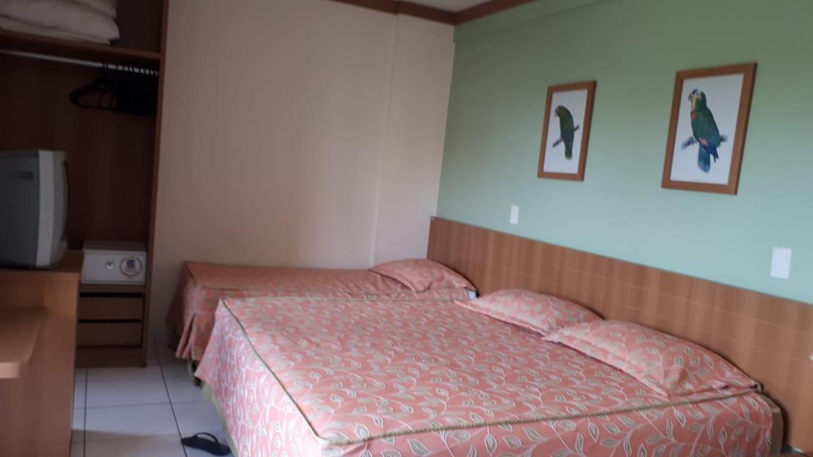 Golden Dolphin Grand Hotel Suite 315 卡达斯诺瓦斯 外观 照片